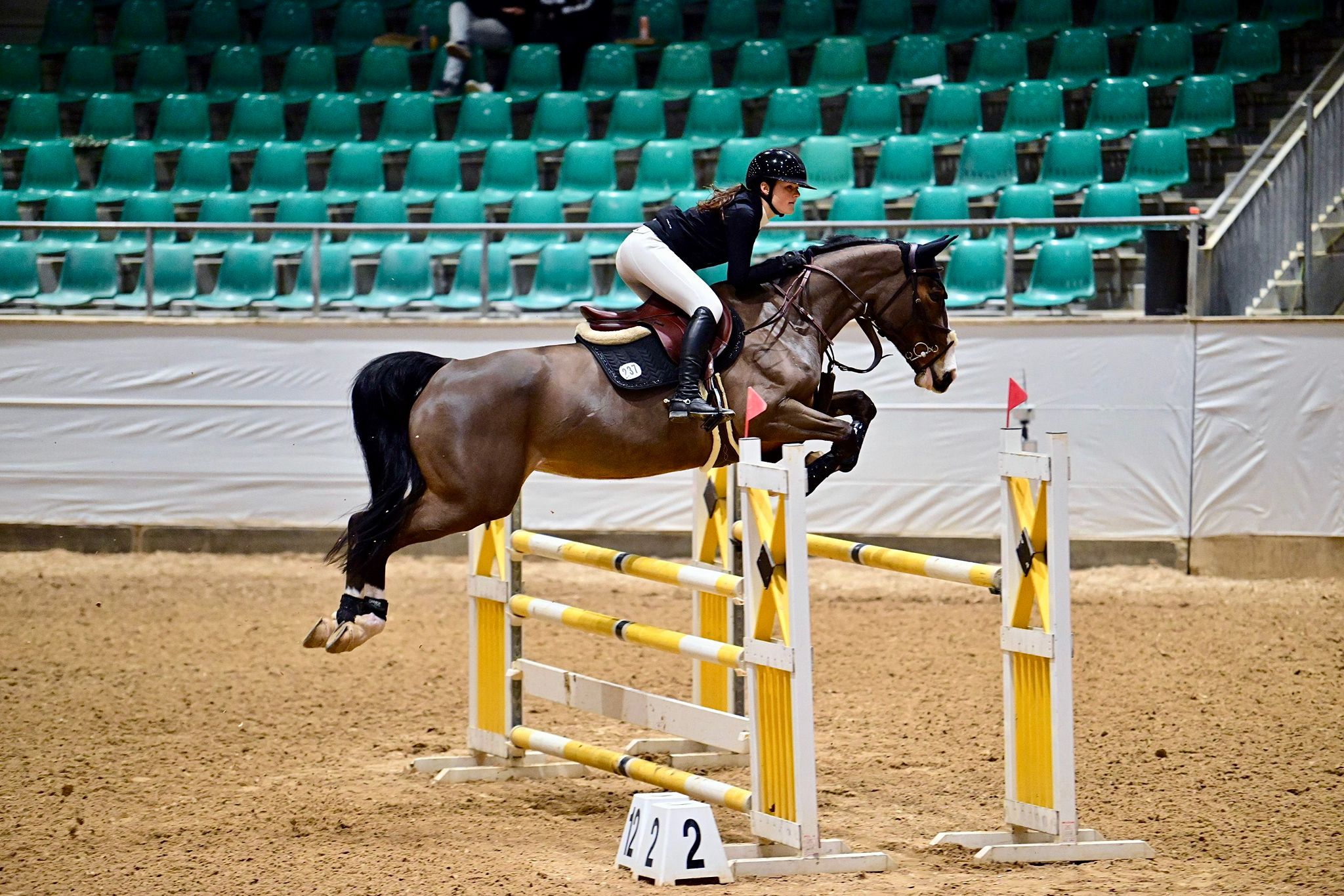 Jumper mare by Karajan