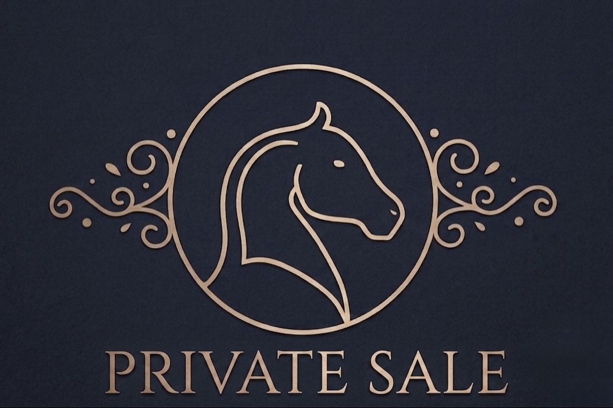 Private sale dressage gelding